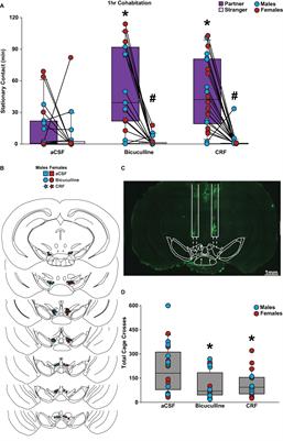 Corticotropin-releasing factor and GABA in the ventral tegmental area modulate partner preference formation in male and female prairie voles (Microtus ochrogaster)